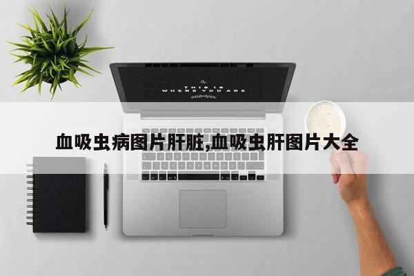 血吸虫病图片肝脏,血吸虫肝图片大全